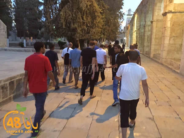 yaffa rebatt3 (11).jpg